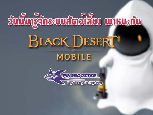 แนะนำระบบสัตว์เลี้ยง พาหนะเกม Black Desert Mobile