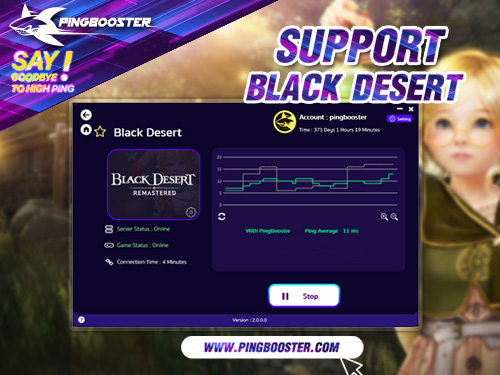 PingBooster VPN Support Black Desert