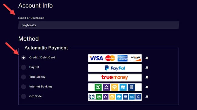 how-to-pay-pingbooster-with-credit-debit-card