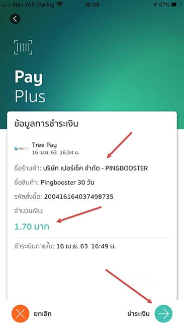 how-to-pay-pingbooster-with-online-banking